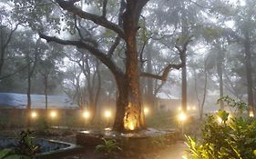 Alexander Heritage And Rainforest Resort